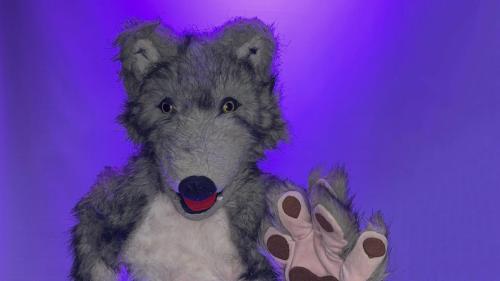 LOBO NO FEROZ